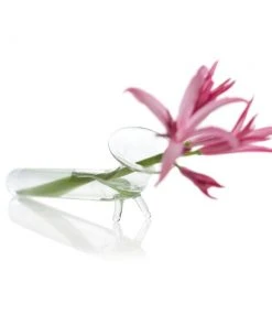 Chive Glass Test Tube Vase ( With Feet )