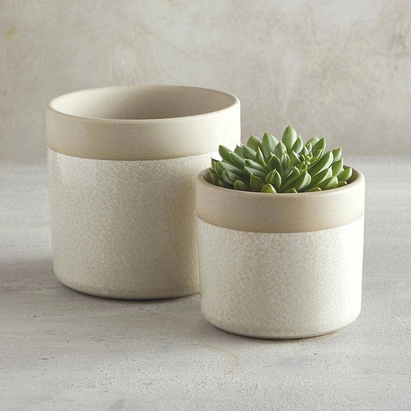 47th & Main (Creative Brands) Cream Ceramic Pot, Large 47th & Main (Creative Brands) Cream Ceramic Pot, Large