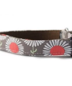 Sophisticated Pup - Daisies In Taupe Dog Collar Medium
