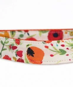 Baby & Pets Sophisticated Pup - Lola Dog Collar Small