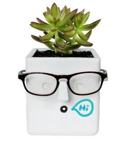 30 Watt Vases Face Plant Planter