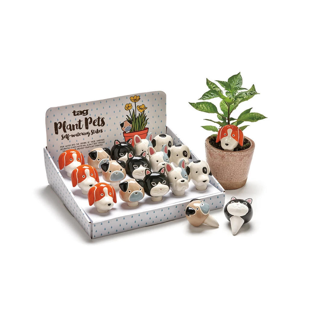 Poppy & Vale Plant Pet Buddies Poppy & Vale Plant Pet Buddies