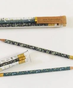 June & December Greenhouse Mix Pencil Terrarium, Set Of 5 Pencils