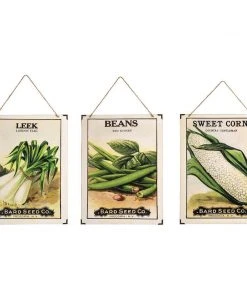 C&F Home Seed Pack Wall Art