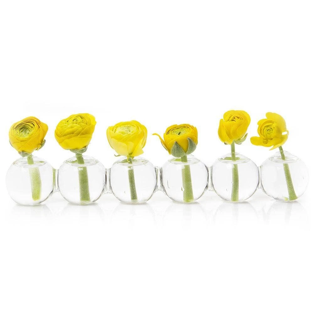 Chive Vases Caterpillar Vase Chive Vases Caterpillar Vase