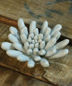 HomArt Ceramic Succulent Home Goods