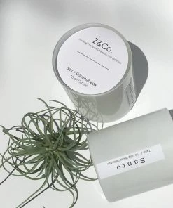 Z&Co. Home Goods Santo Soy+ Coconut Wax Candle White Tulip House