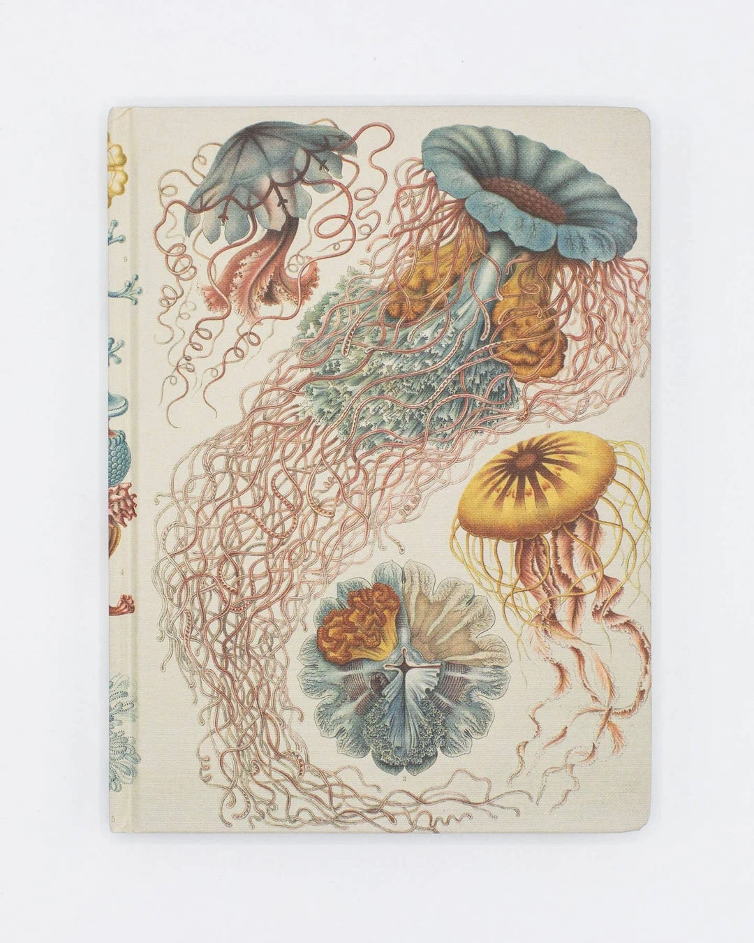 Cognitive Surplus Haeckel Jellyfish Hardcover Notebook Stationery Cognitive Surplus Haeckel Jellyfish Hardcover Notebook Stationery