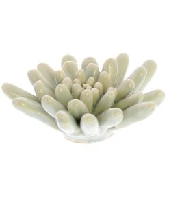 HomArt Ceramic Succulent Home Goods