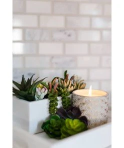 Soy Essentials LLC Candles And Scents Garden Terrace Vanilla Orchid Concrete Candle 15oz