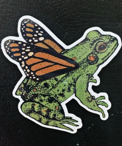 Nature Walk The Frog Grew Wings Stationery