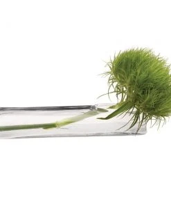 Chive Glass Test Tube Vase ( Flat ) Vases