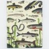 Cognitive Surplus Stationery Freshwater Fish Hardcover Notebook