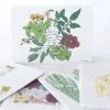 Koru Street Stationery Sustainable Seasons Growing Paper Gretting Card / Set Of 5