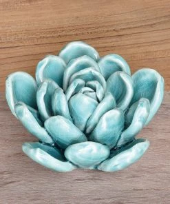 HomArt Ceramic Succulent