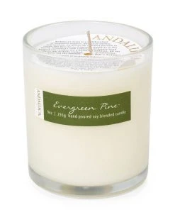 Andaluca Evergreen Pine Candle