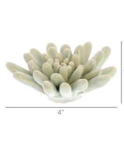 HomArt Ceramic Succulent Home Goods
