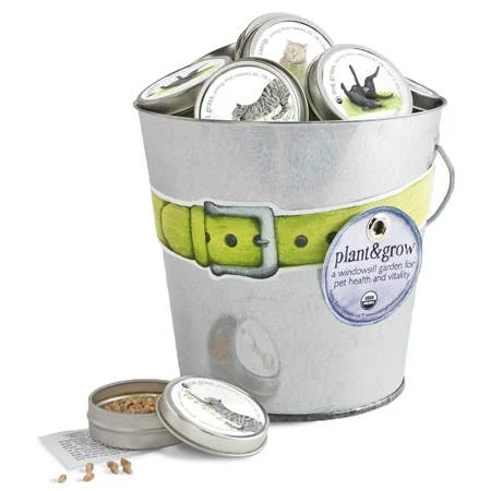 Potting Shed Creations, Ltd. - Pet Garden Sprinkle Pail Baby & Pets Potting Shed Creations, Ltd. - Pet Garden Sprinkle Pail Baby & Pets