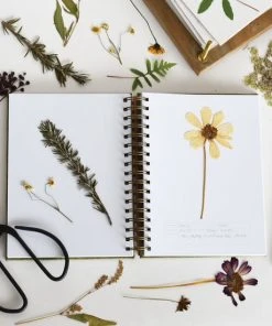 June & December Stationery Herbarium Journal