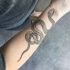 NatureTats Garden Snake Temporary Tattoo