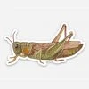 Polanshek Of The Hills Grasshopper Sticker Stationery
