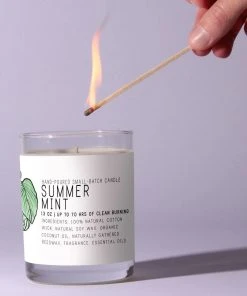 Just Bee Cosmetics Summer Mint Candle Home Goods
