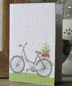Koru Street Bicycle Growing Paper Gretting Card Stationery