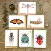Polanshek Of The Hills Bug Collection- Small Card Pack