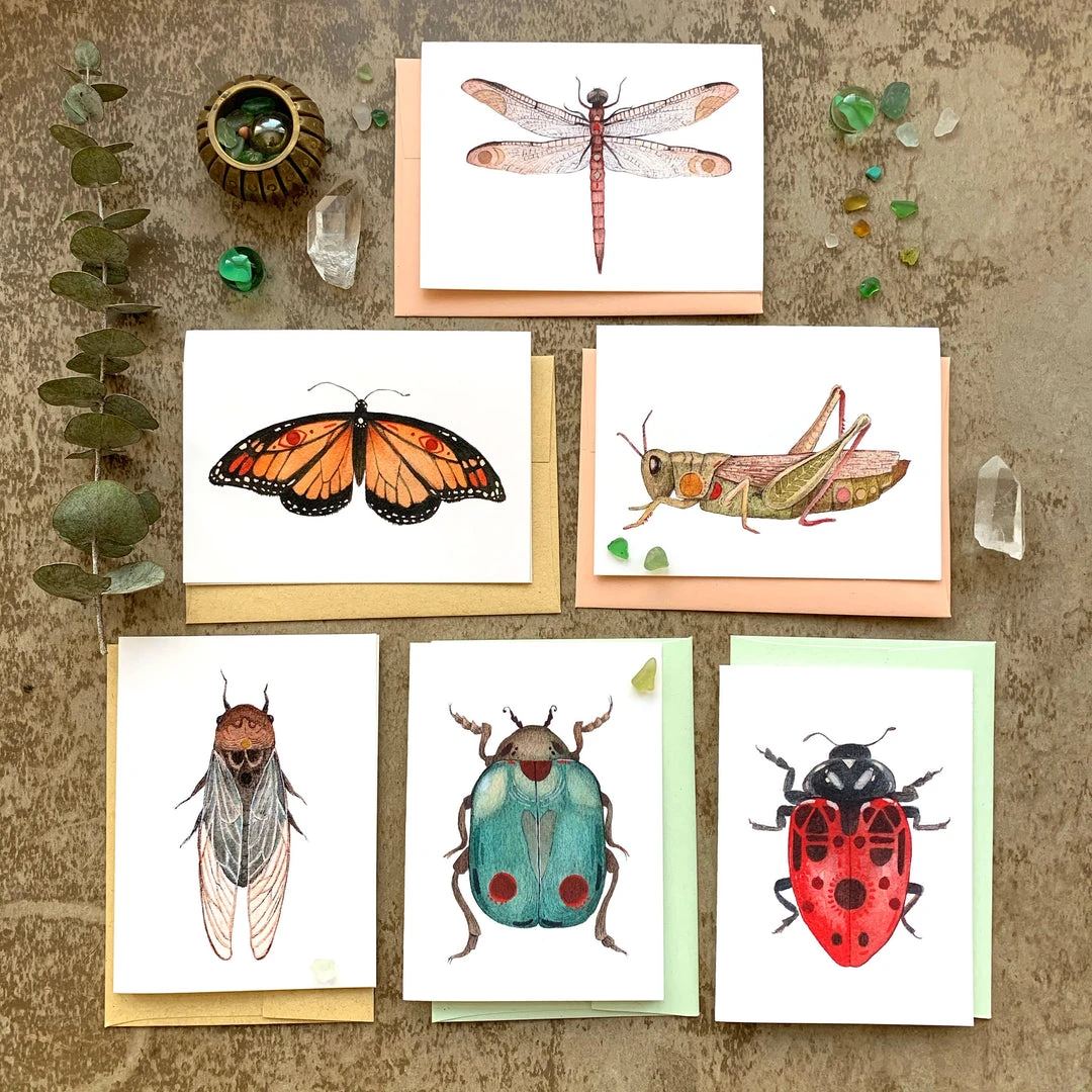 Polanshek Of The Hills Bug Collection- Small Card Pack Polanshek Of The Hills Bug Collection- Small Card Pack